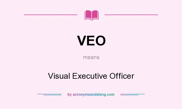 What does VEO mean? It stands for Visual Executive Officer