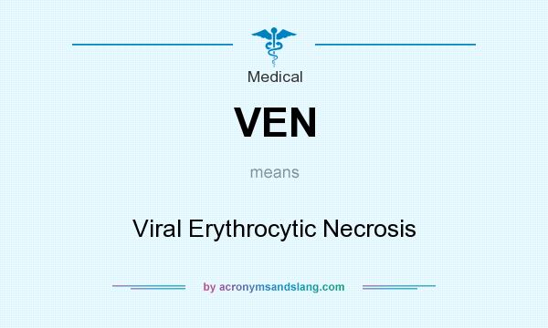 What does VEN mean? It stands for Viral Erythrocytic Necrosis
