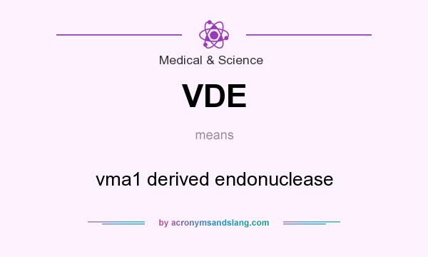 What does VDE mean? It stands for vma1 derived endonuclease