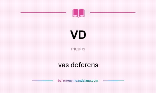 What does VD mean? It stands for vas deferens