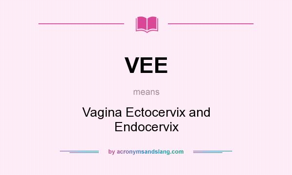 What does VEE mean? It stands for Vagina Ectocervix and Endocervix
