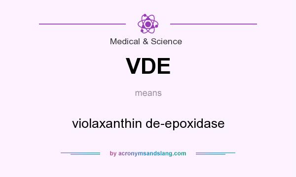 What does VDE mean? It stands for violaxanthin de-epoxidase