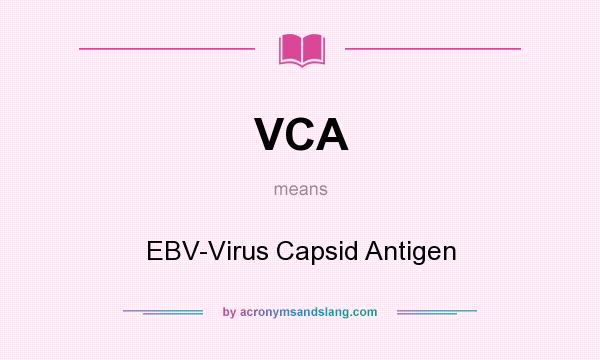 What does VCA mean? It stands for EBV-Virus Capsid Antigen