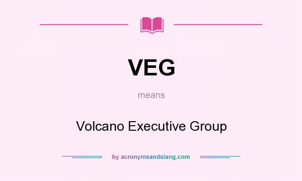 What does VEG mean? It stands for Volcano Executive Group
