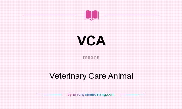 What does VCA mean? It stands for Veterinary Care Animal