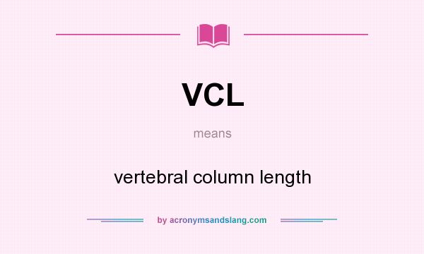 What does VCL mean? It stands for vertebral column length