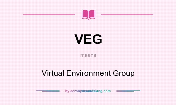 What does VEG mean? It stands for Virtual Environment Group