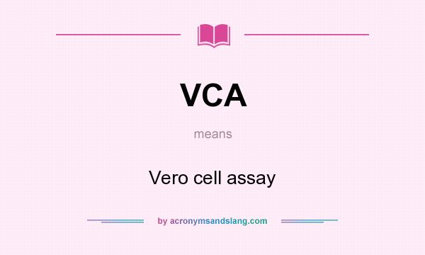 What does VCA mean? It stands for Vero cell assay