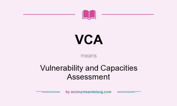 What does VCA mean? It stands for Vulnerability and Capacities Assessment