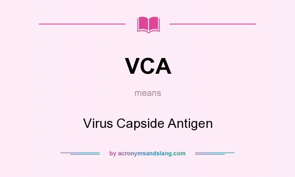 What does VCA mean? It stands for Virus Capside Antigen