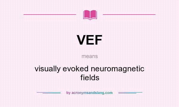 What does VEF mean? It stands for visually evoked neuromagnetic fields