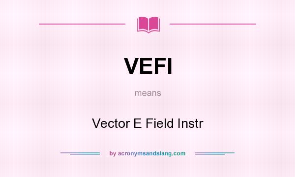What does VEFI mean? It stands for Vector E Field Instr