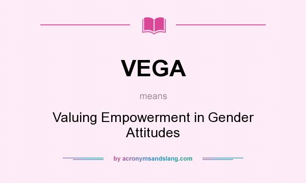 What does VEGA mean? It stands for Valuing Empowerment in Gender Attitudes