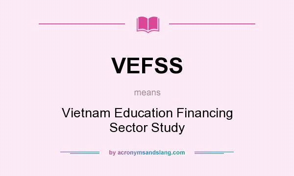 What does VEFSS mean? It stands for Vietnam Education Financing Sector Study
