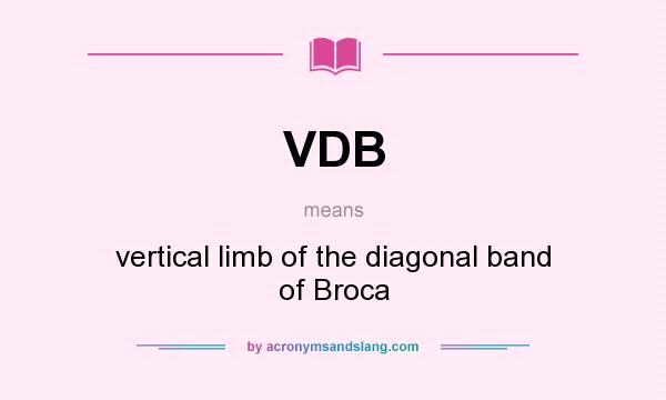 What does VDB mean? It stands for vertical limb of the diagonal band of Broca