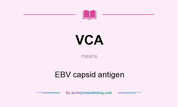 What does VCA mean? It stands for EBV capsid antigen