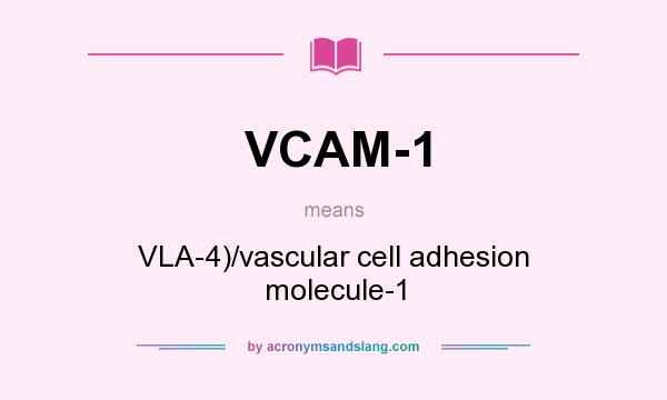 What does VCAM-1 mean? It stands for VLA-4)/vascular cell adhesion molecule-1