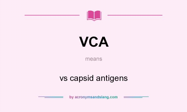 What does VCA mean? It stands for vs capsid antigens