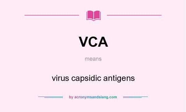 What does VCA mean? It stands for virus capsidic antigens