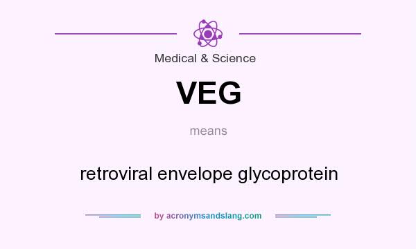 What does VEG mean? It stands for retroviral envelope glycoprotein