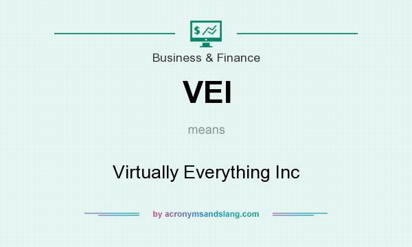 What does VEI mean? It stands for Virtually Everything Inc