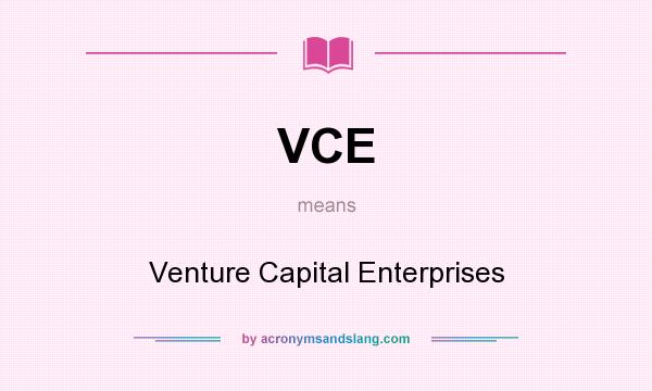 What does VCE mean? It stands for Venture Capital Enterprises