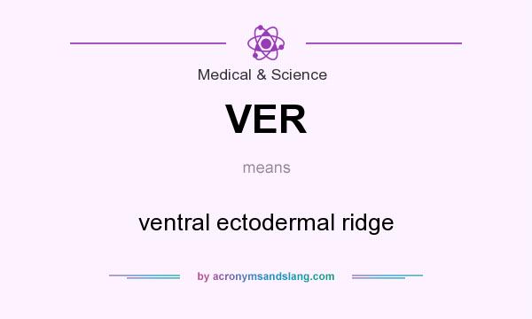 What does VER mean? It stands for ventral ectodermal ridge