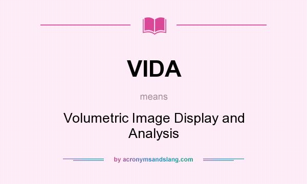 What does VIDA mean? It stands for Volumetric Image Display and Analysis