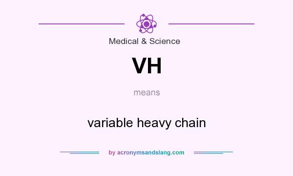 What does VH mean? It stands for variable heavy chain
