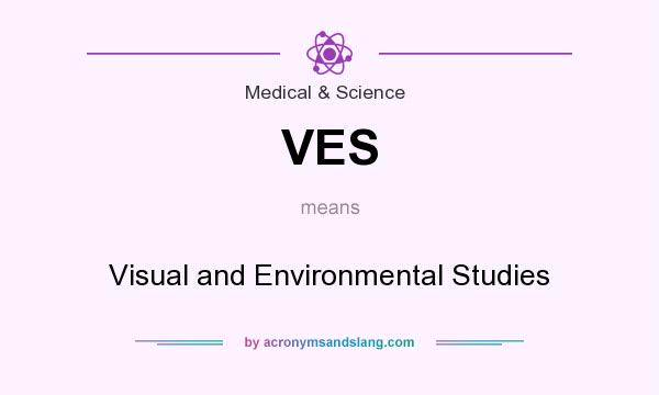 What does VES mean? It stands for Visual and Environmental Studies