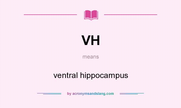 What does VH mean? It stands for ventral hippocampus