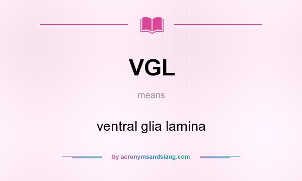 What does VGL mean? It stands for ventral glia lamina