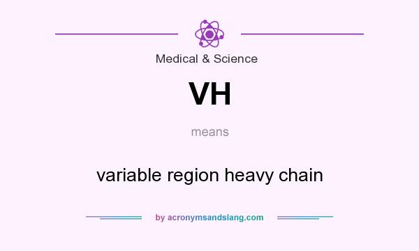 What does VH mean? It stands for variable region heavy chain