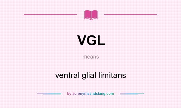 What does VGL mean? It stands for ventral glial limitans