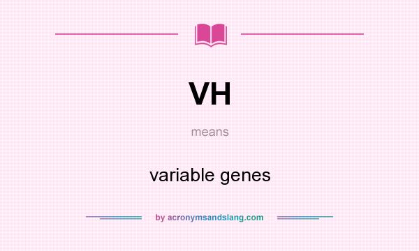What does VH mean? It stands for variable genes