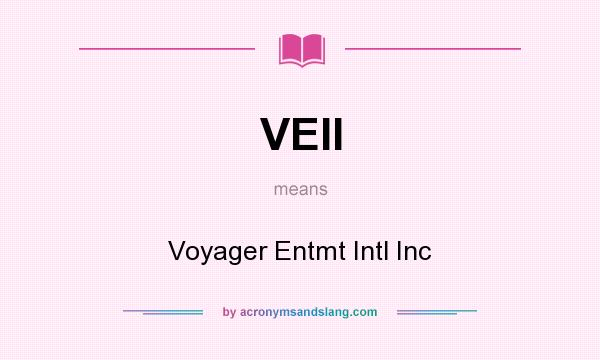 What does VEII mean? It stands for Voyager Entmt Intl Inc