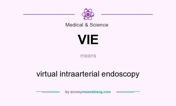 What does VIE mean? It stands for virtual intraarterial endoscopy