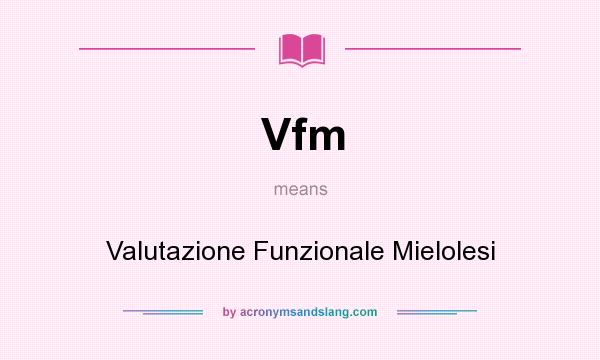 What does Vfm mean? It stands for Valutazione Funzionale Mielolesi