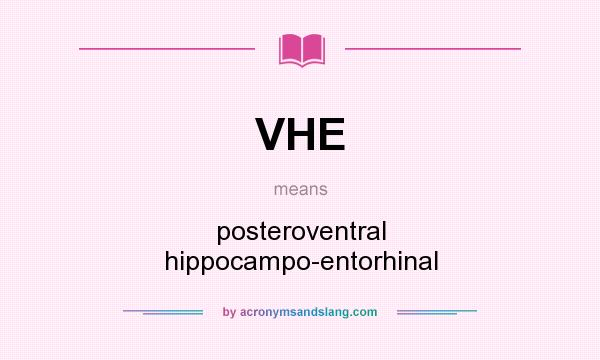 What does VHE mean? It stands for posteroventral hippocampo-entorhinal