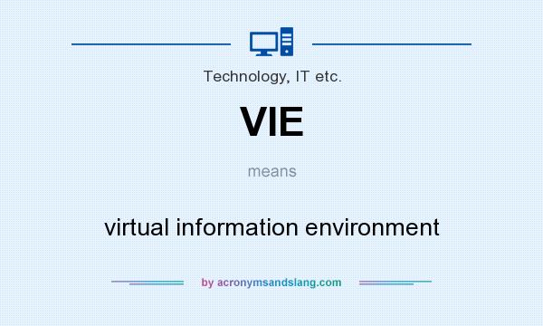 What does VIE mean? It stands for virtual information environment