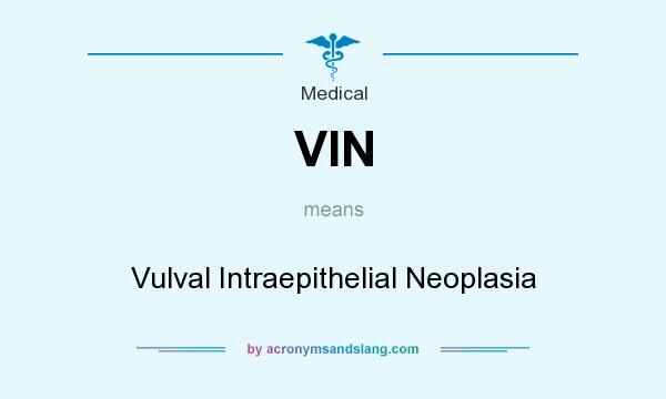 What does VIN mean? It stands for Vulval Intraepithelial Neoplasia