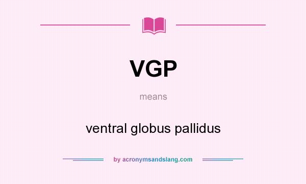 What does VGP mean? It stands for ventral globus pallidus