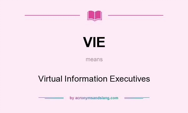 What does VIE mean? It stands for Virtual Information Executives