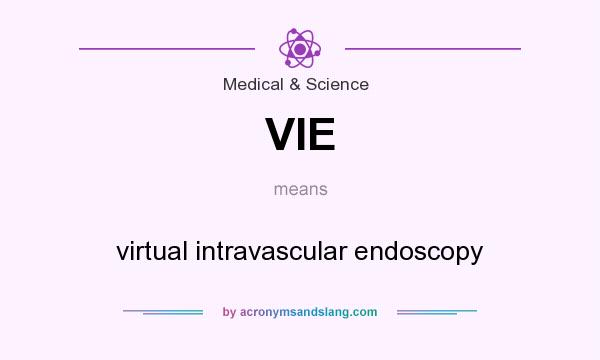 What does VIE mean? It stands for virtual intravascular endoscopy