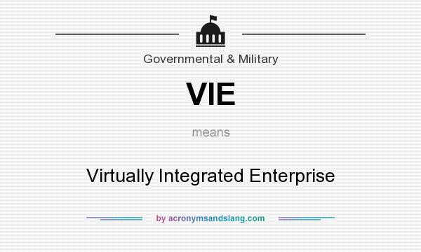 What does VIE mean? It stands for Virtually Integrated Enterprise