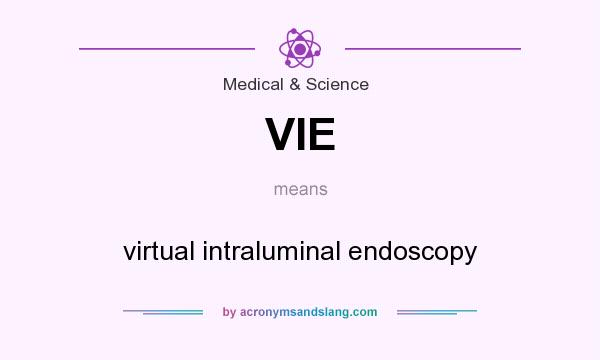 What does VIE mean? It stands for virtual intraluminal endoscopy