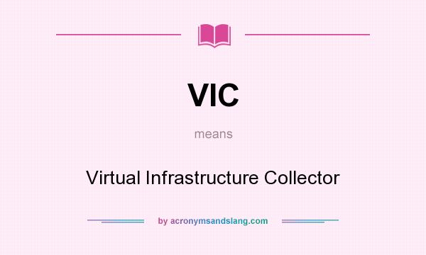 What does VIC mean? It stands for Virtual Infrastructure Collector