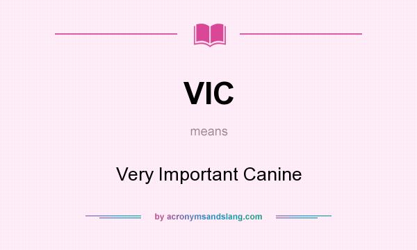 What does VIC mean? It stands for Very Important Canine
