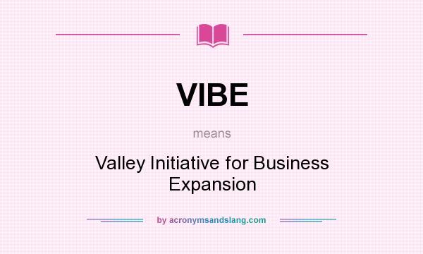 What does VIBE mean? It stands for Valley Initiative for Business Expansion