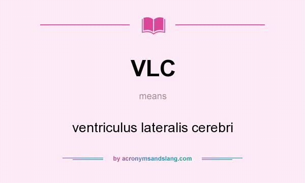 What does VLC mean? It stands for ventriculus lateralis cerebri
